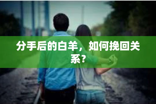分手后的白羊，如何挽回关系？