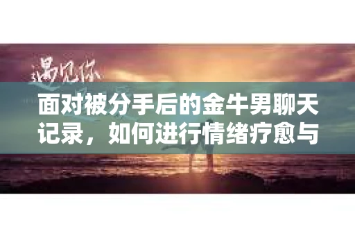 面对被分手后的金牛男聊天记录，如何进行情绪疗愈与决策？