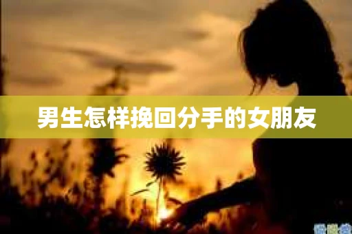 男生怎样挽回分手的女朋友