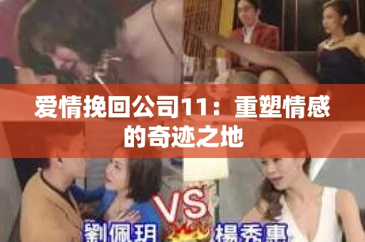 爱情挽回公司11：重塑情感的奇迹之地