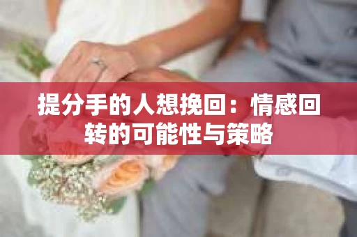 提分手的人想挽回：情感回转的可能性与策略