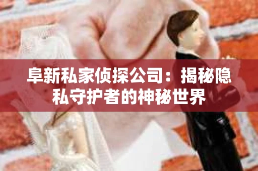 阜新私家侦探公司：揭秘隐私守护者的神秘世界