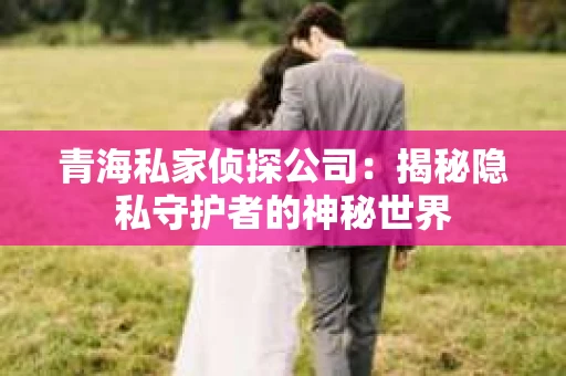 青海私家侦探公司：揭秘隐私守护者的神秘世界