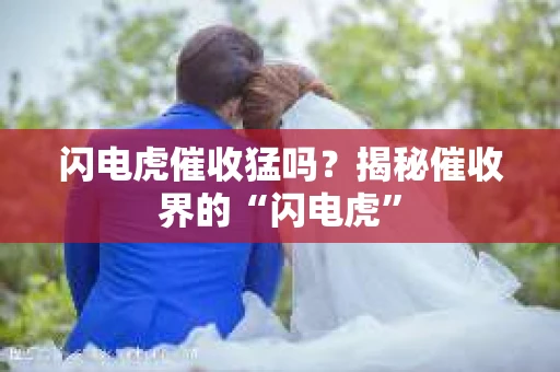 闪电虎催收猛吗？揭秘催收界的“闪电虎”