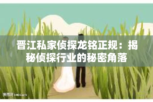 晋江私家侦探龙铭正规：揭秘侦探行业的秘密角落