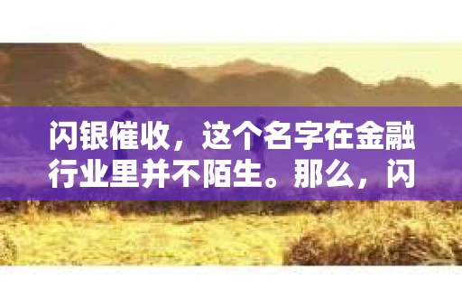 闪银催收，这个名字在金融行业里并不陌生。那么，闪银催收到底厉害不厉害呢？今天，我们就来聊聊这个话题。