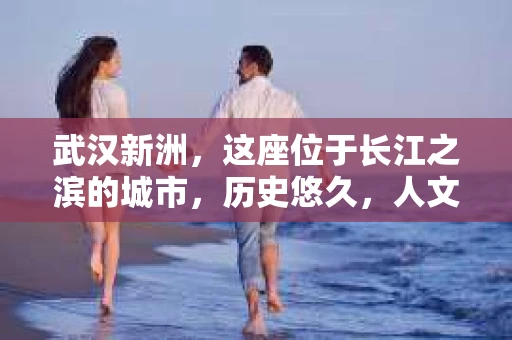 武汉新洲，这座位于长江之滨的城市，历史悠久，人文荟萃。近年来，随着社会的发展，人们对于隐私保护和信息查询的需求日益增长。那么，武汉新洲有私家侦探吗？这个问题，让我带你一探究竟。