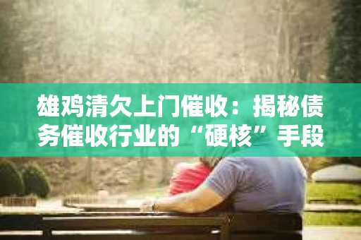雄鸡清欠上门催收：揭秘债务催收行业的“硬核”手段