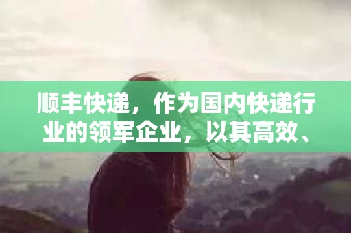 顺丰快递，作为国内快递行业的领军企业，以其高效、便捷的服务赢得了广大用户的信赖。然而，在使用顺丰快递的过程中，有时也会遇到一些问题，比如货物丢失、延误等。今天，我们就来聊聊顺丰怎么催收6，也就是顺丰快递的催收流程。