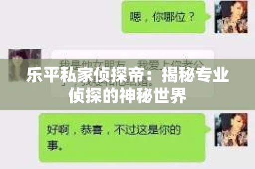 乐平私家侦探帝：揭秘专业侦探的神秘世界