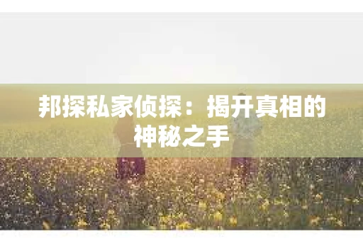 邦探私家侦探：揭开真相的神秘之手