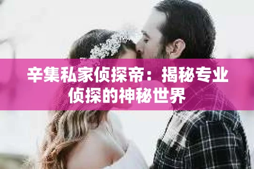 辛集私家侦探帝：揭秘专业侦探的神秘世界