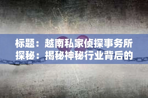 标题：越南私家侦探事务所探秘：揭秘神秘行业背后的故事
