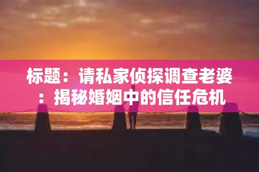 标题：请私家侦探调查老婆：揭秘婚姻中的信任危机