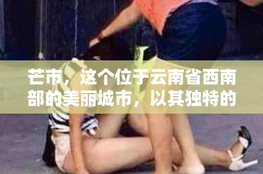 芒市，这个位于云南省西南部的美丽城市，以其独特的地理位置和丰富的民族文化而闻名。然而，随着社会的不断发展，人们对于隐私保护和信息查询的需求也在日益增长。那么，问题来了——芒市有几家私家侦探呢？今天，我们就来聊聊这个话题。